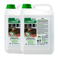 Средство для удаления плесени FORTIS (5 л)